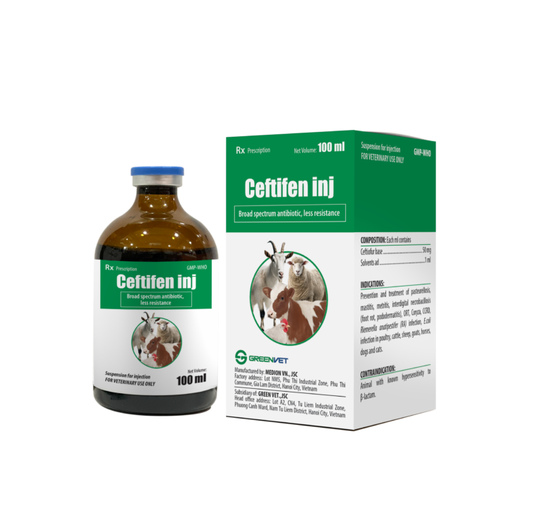 Ceftifen inj 100 ml